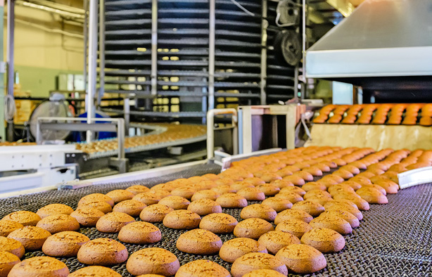 某大型食品加工厂可燃气体安全监测系统升级案例