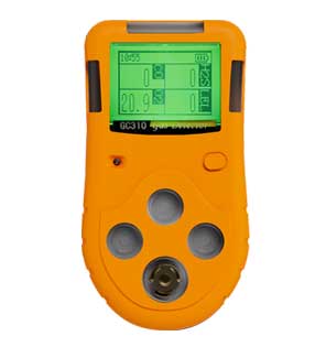 GC310复合式name气体检测仪